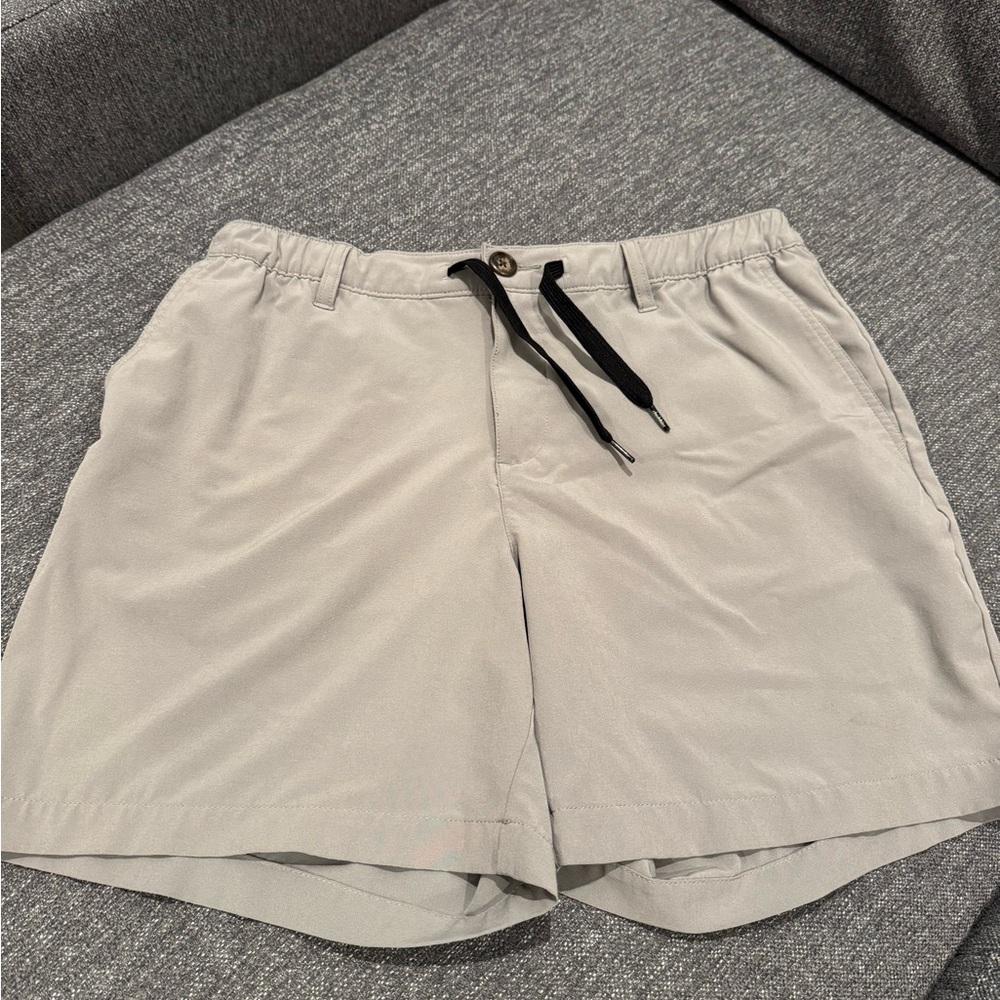 Chubbies everyday performance Men's Gray Casual Shorts 6in